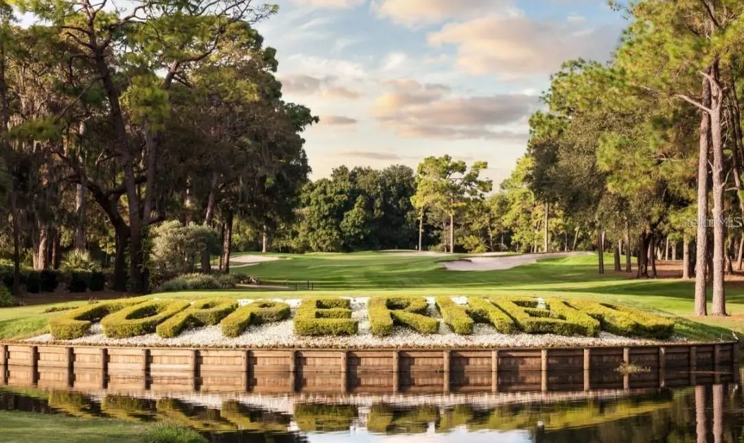 Innisbrook home, photo 7 of 8