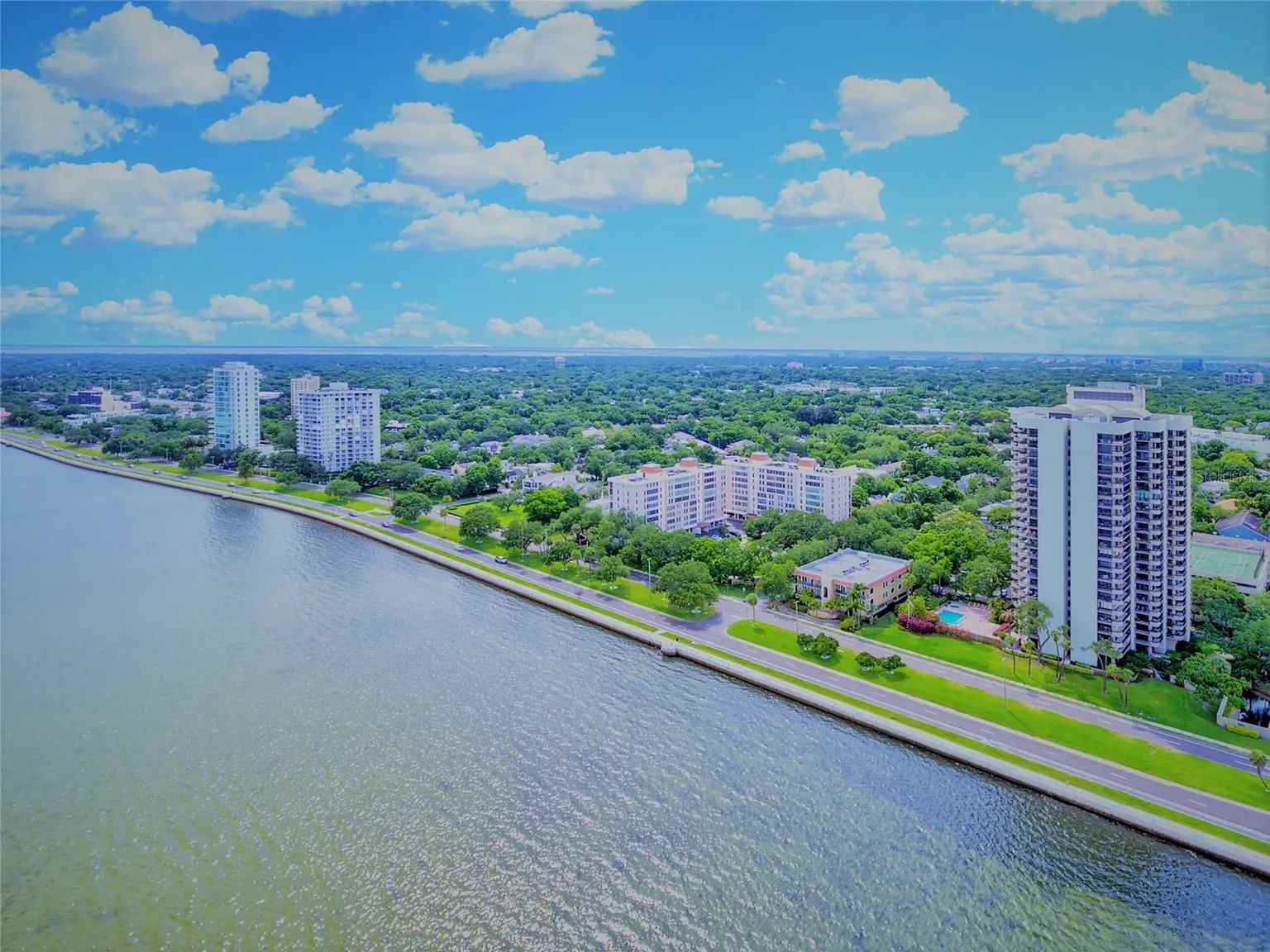 2419 BAYSHORE BOULEVARD #2N, TAMPA, FL, photo 3 of 40
