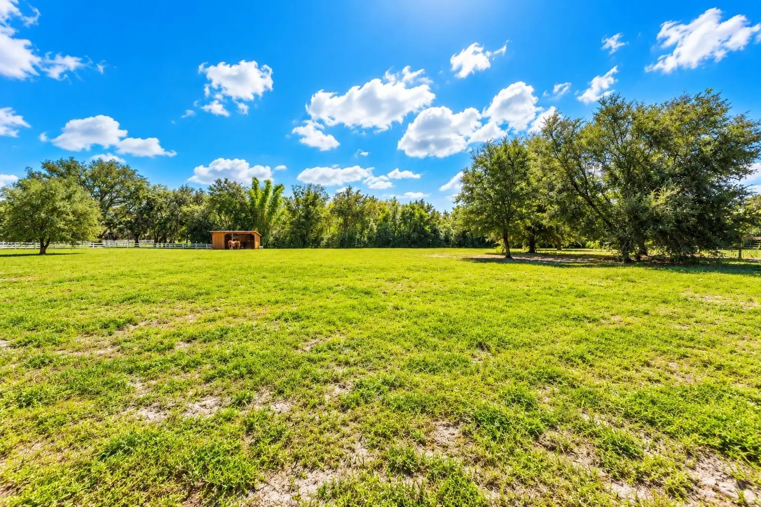 11526 TROTTING DOWN DRIVE, ODESSA, FL, photo 87 of 95