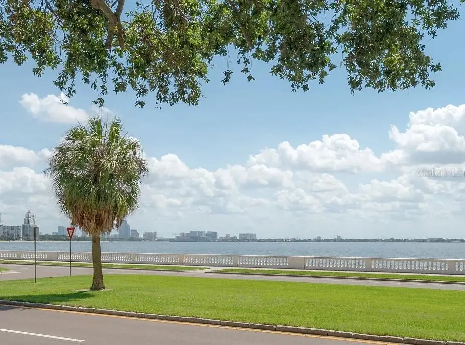 3325 BAYSHORE BOULEVARD #F31, TAMPA, FL, photo 2 of 27