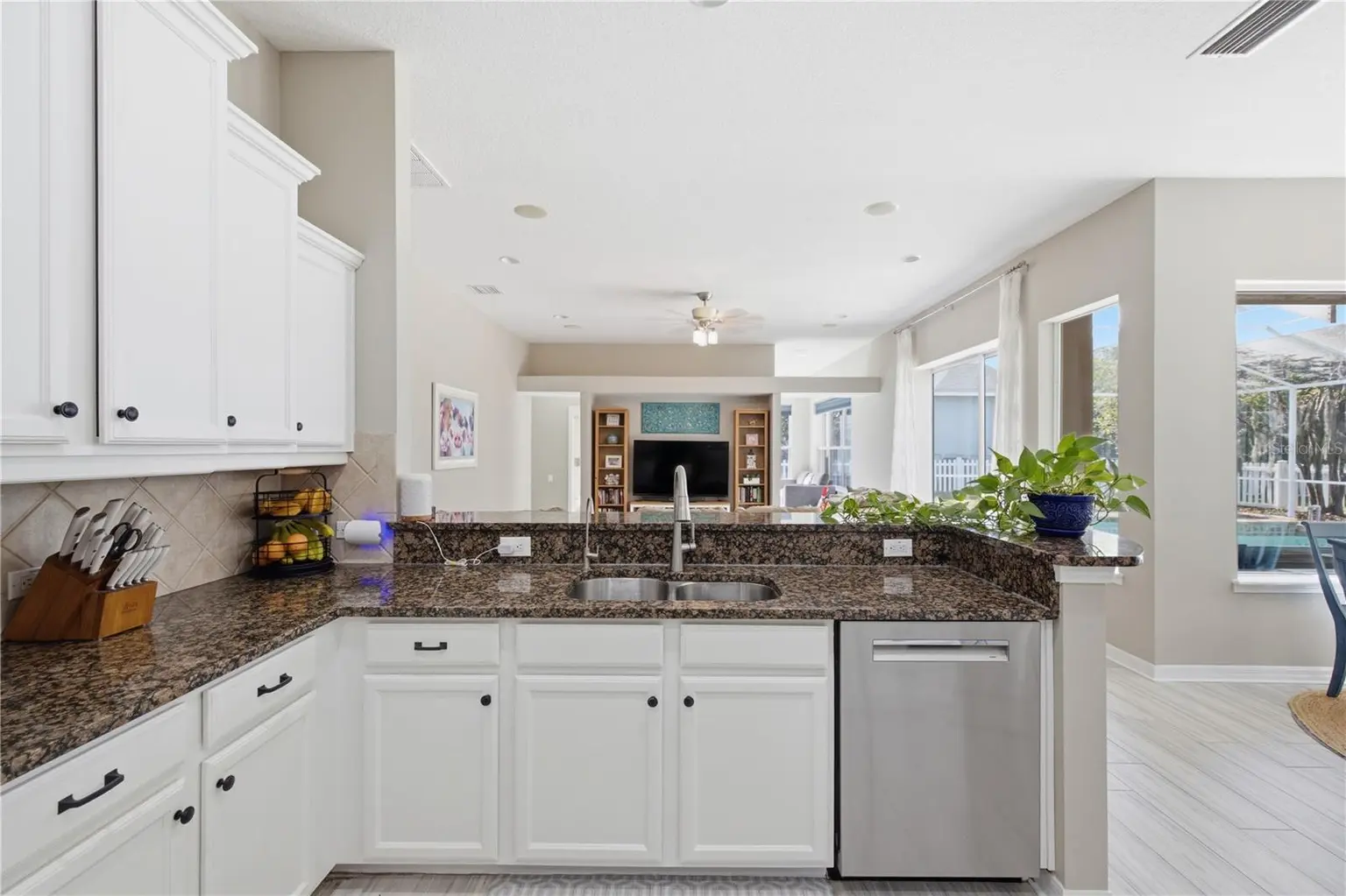 3905 SORREL VINE DRIVE, WESLEY CHAPEL, FL, photo 18 of 62