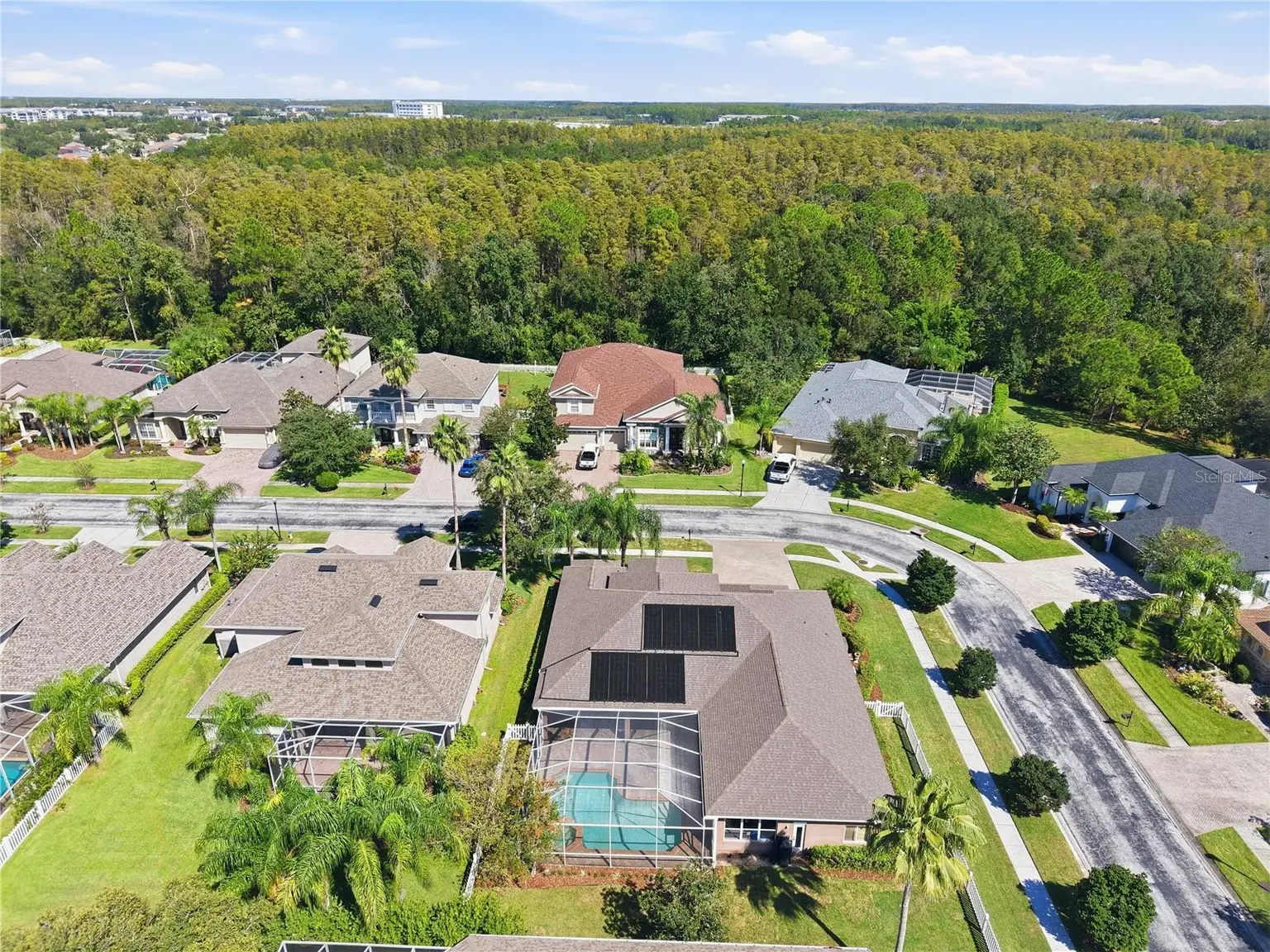 3905 SORREL VINE DRIVE, WESLEY CHAPEL, FL, photo 60 of 62