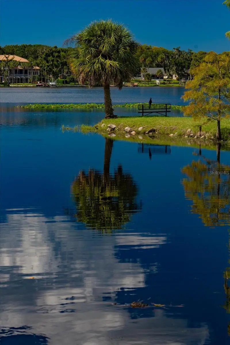 2056 COVE TRACE, PALM HARBOR, FL, photo 78 of 91