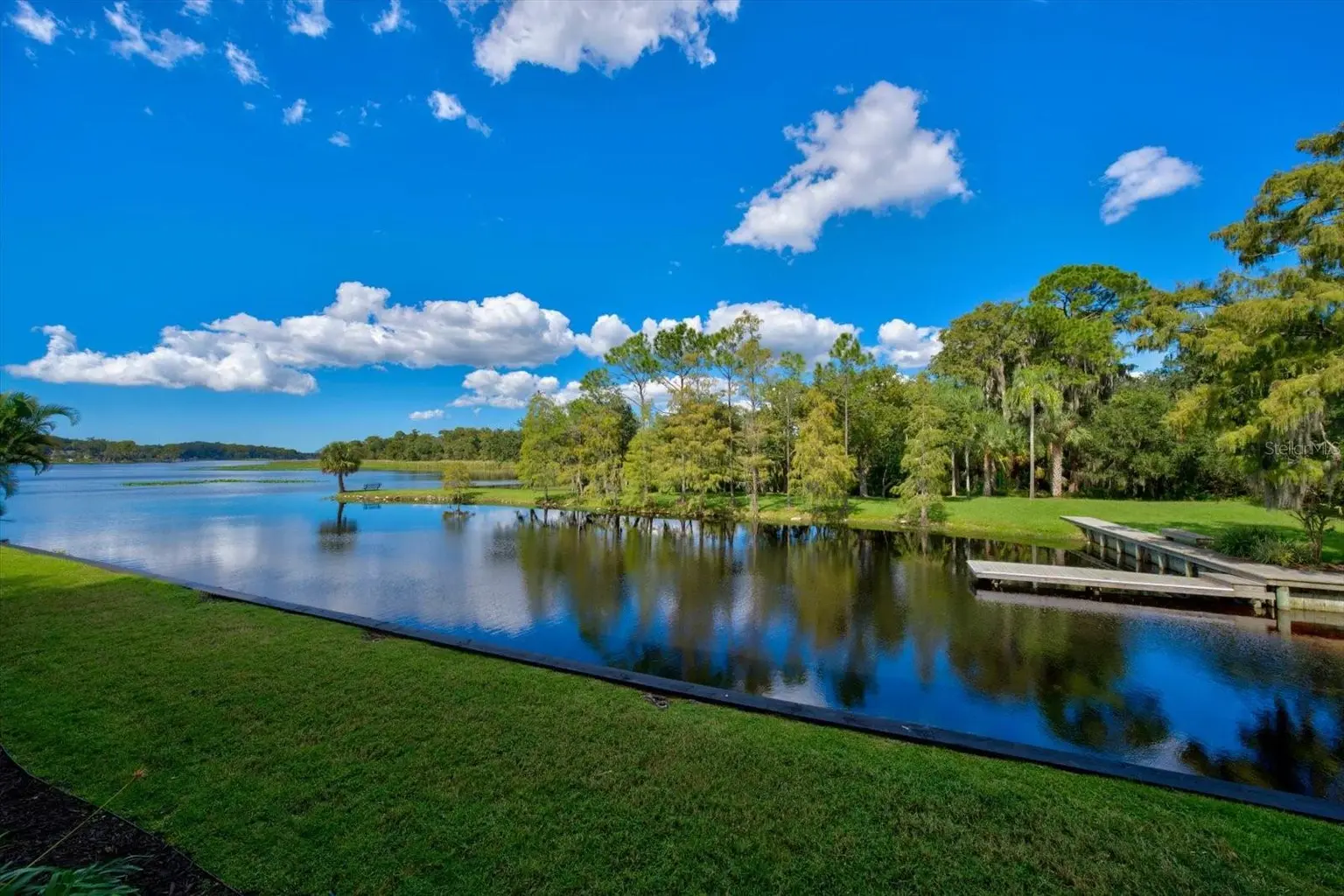 2056 COVE TRACE, PALM HARBOR, FL, photo 82 of 91