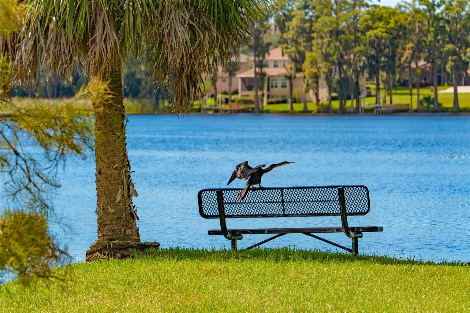 2056 COVE TRACE, PALM HARBOR, FL, photo 85 of 91