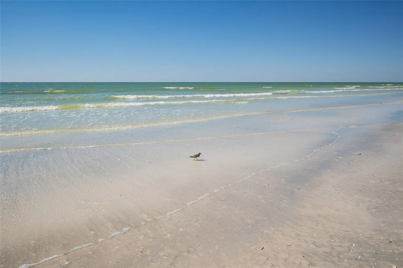 19600 GULF BOULEVARD #202, INDIAN SHORES, FL, photo 42 of 57