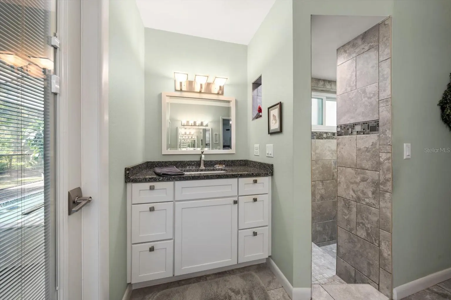1652 HOBBIT ROAD, DUNEDIN, FL, photo 26 of 47
