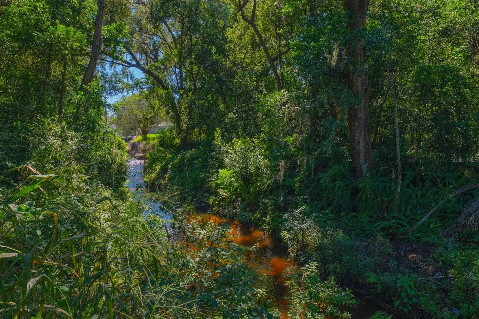 1652 HOBBIT ROAD, DUNEDIN, FL, photo 39 of 47