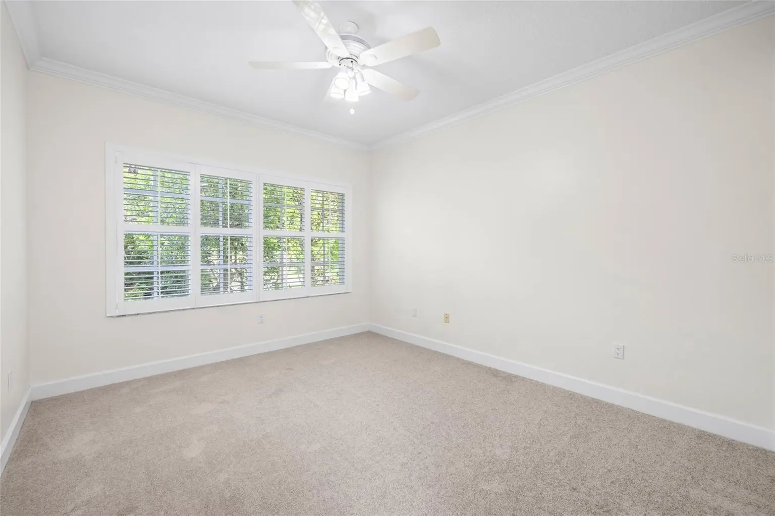 12009 BREWSTER DRIVE, TAMPA, FL, photo 29 of 67
