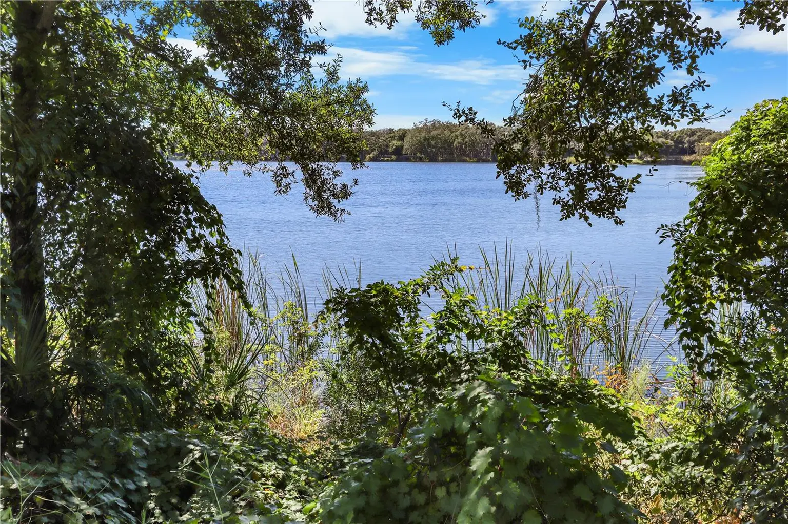 12412 116TH STREET, LARGO, FL, photo 31 of 33