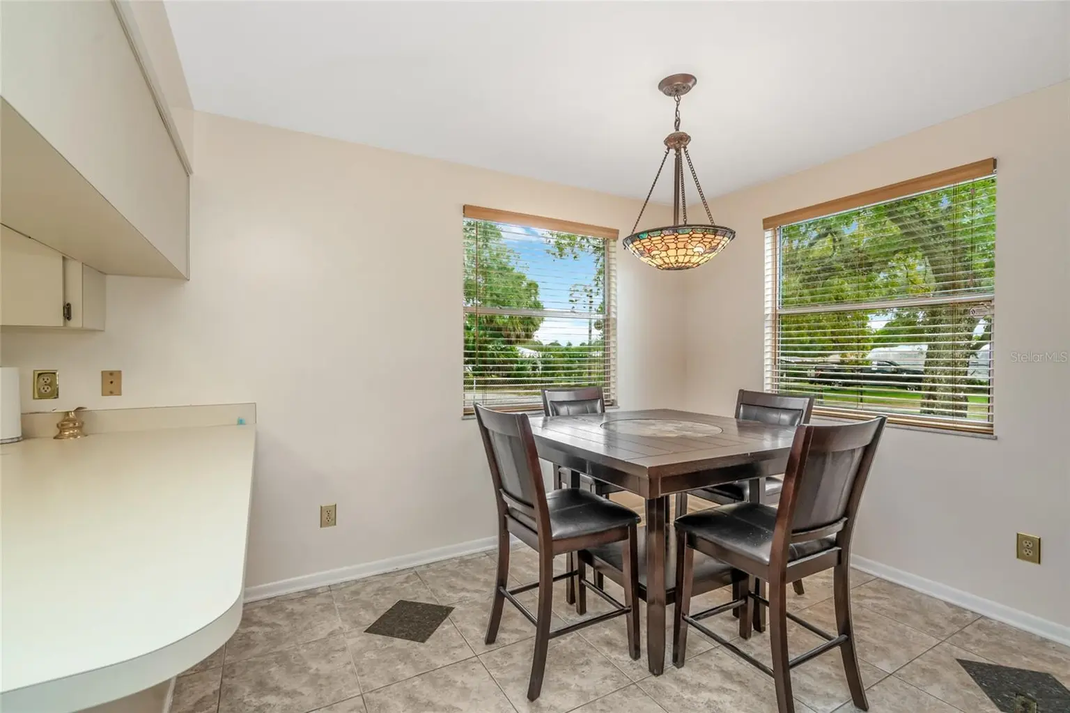 8605 GRANDVIEW DRIVE, TEMPLE TERRACE, FL, photo 20 of 36