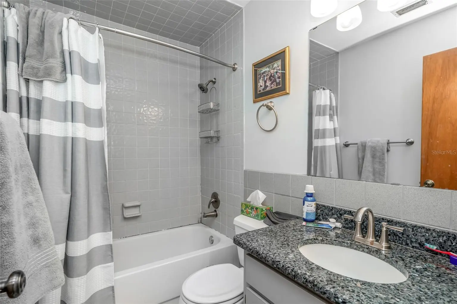 8605 GRANDVIEW DRIVE, TEMPLE TERRACE, FL, photo 27 of 36
