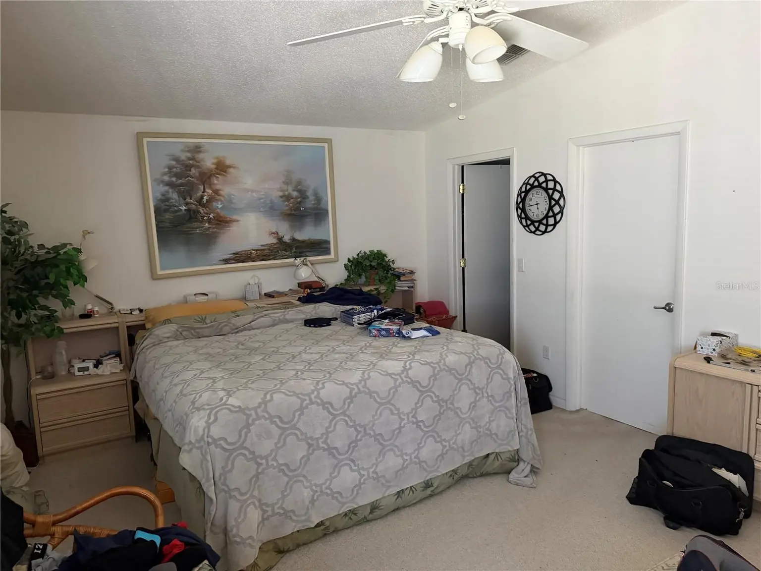 1475 PALMETTO DRIVE, SAFETY HARBOR, FL, photo 8 of 11