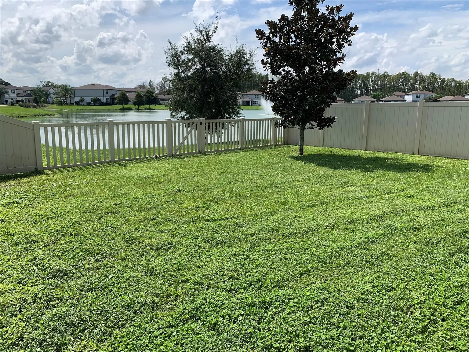 20651 MONZA LOOP, LAND O LAKES, FL, photo 9 of 47