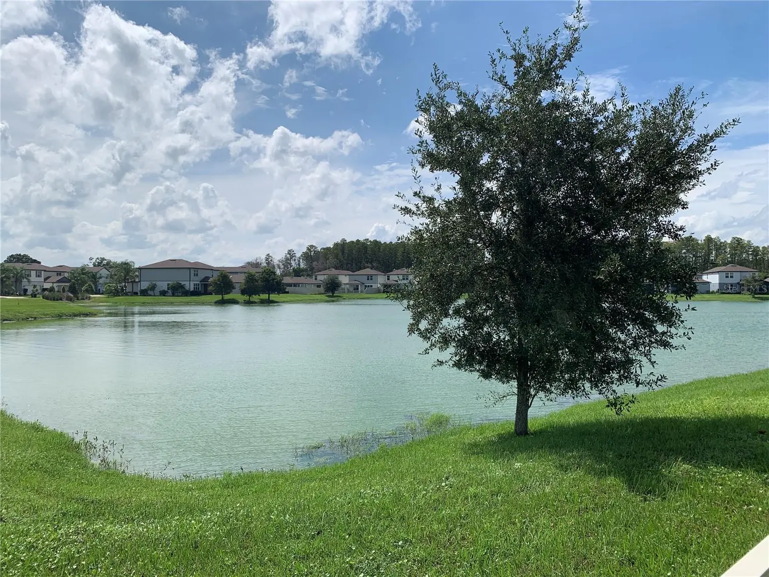 20651 MONZA LOOP, LAND O LAKES, FL, photo 12 of 47