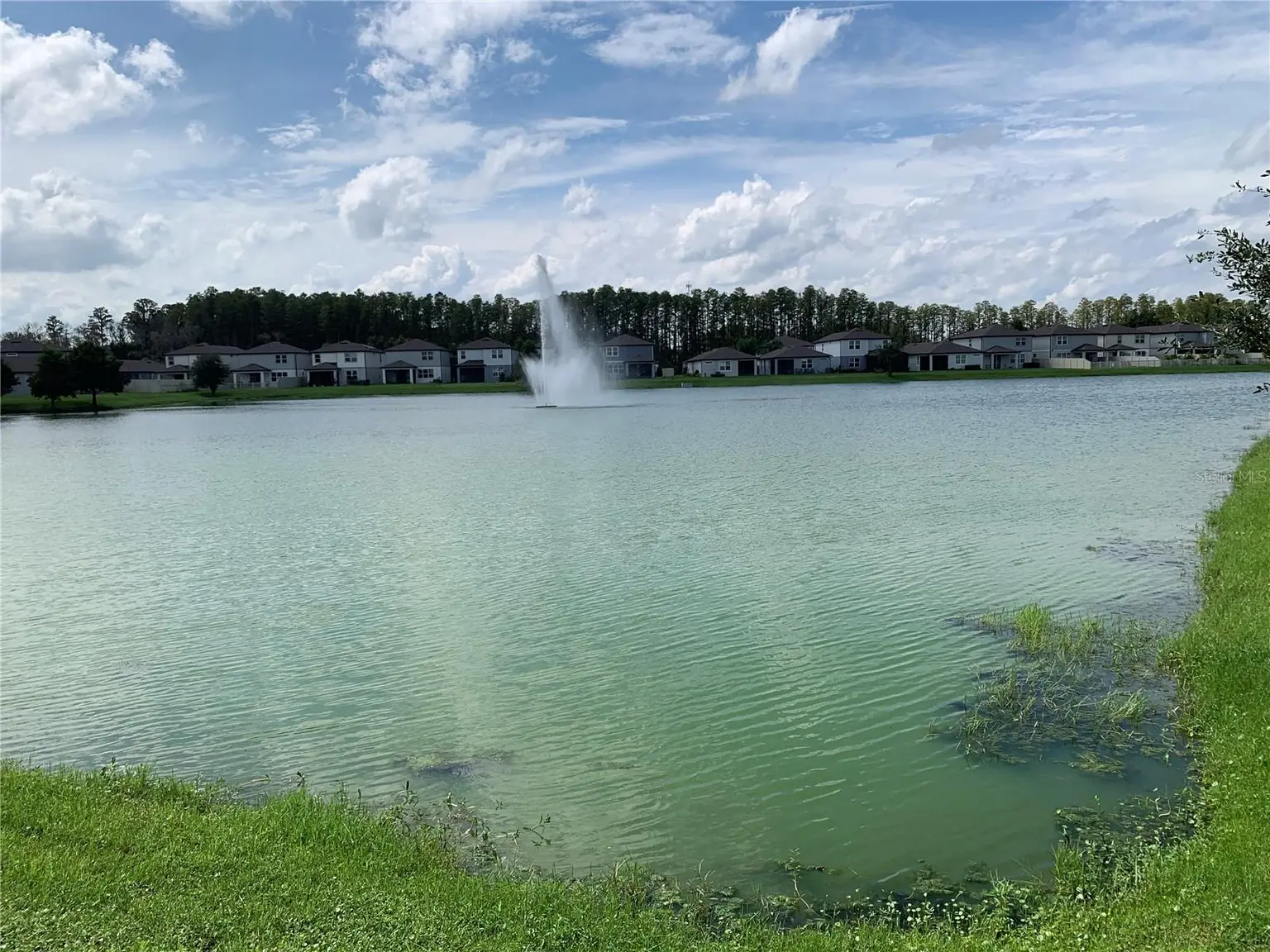 20651 MONZA LOOP, LAND O LAKES, FL, photo 13 of 47