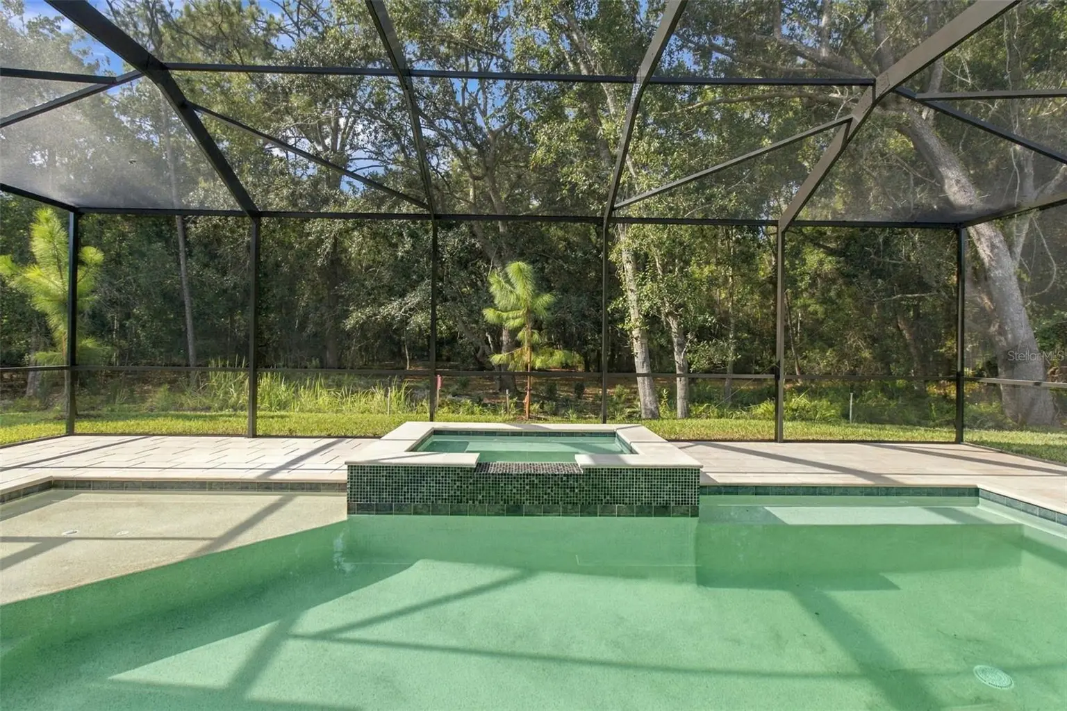 12807 EAGLES ENTRY DRIVE, ODESSA, FL, photo 33 of 36