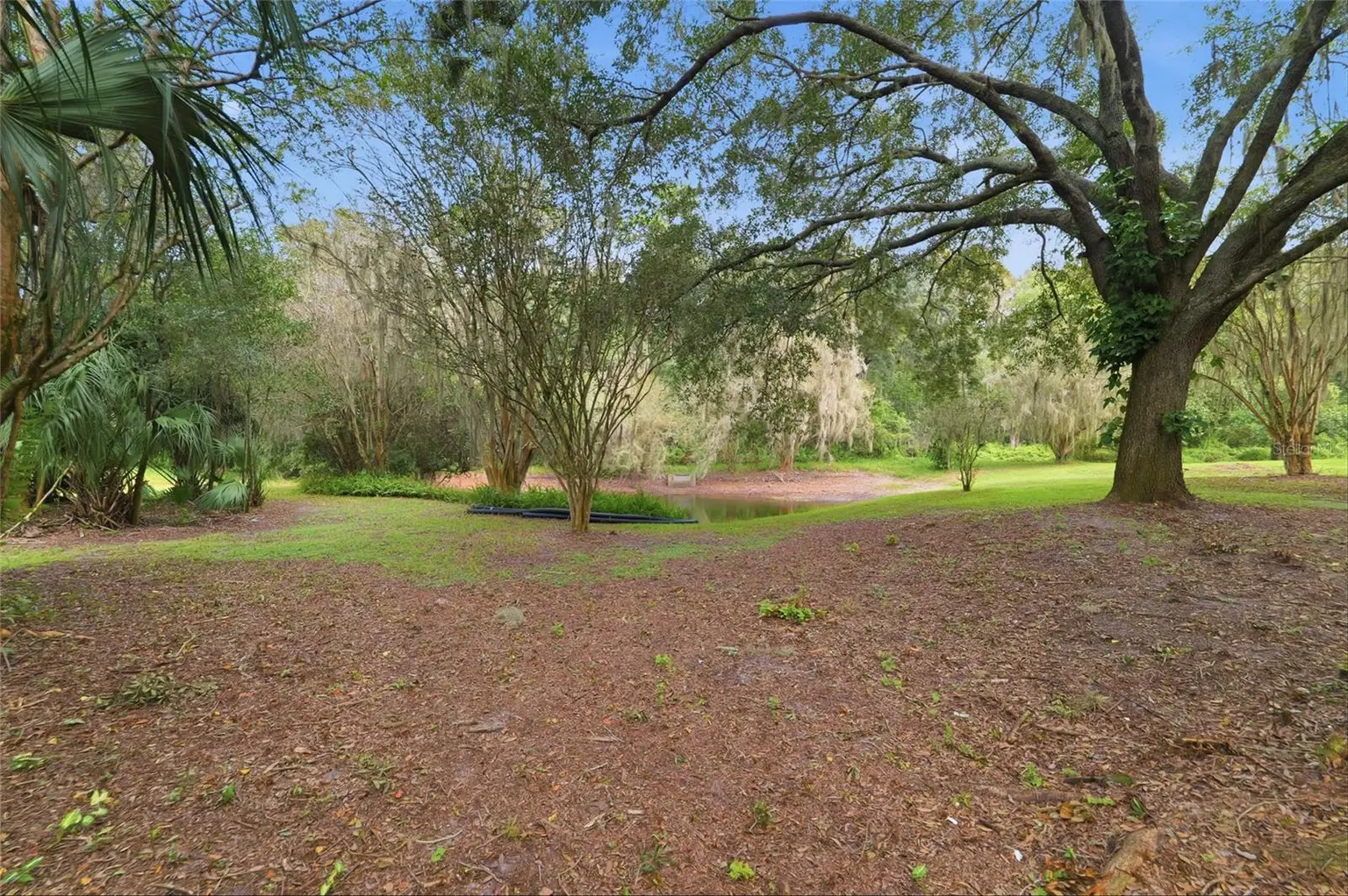 6201 GREENWICH DRIVE, TAMPA, FL, photo 41 of 46