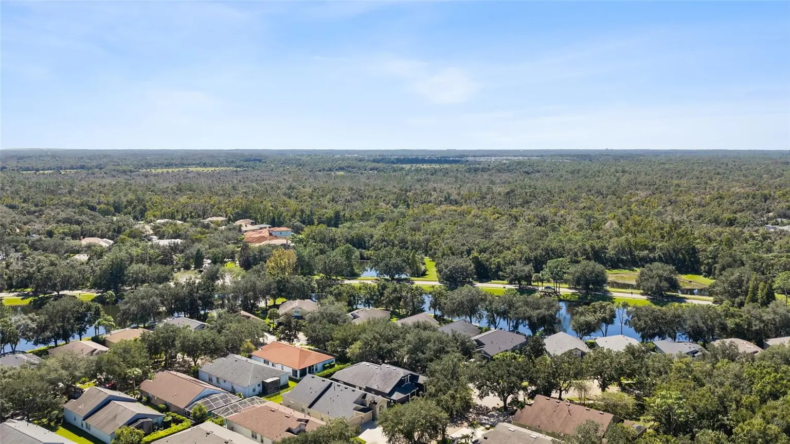 6020 MARTINGLADE PLACE, LITHIA, FL, photo 54 of 75