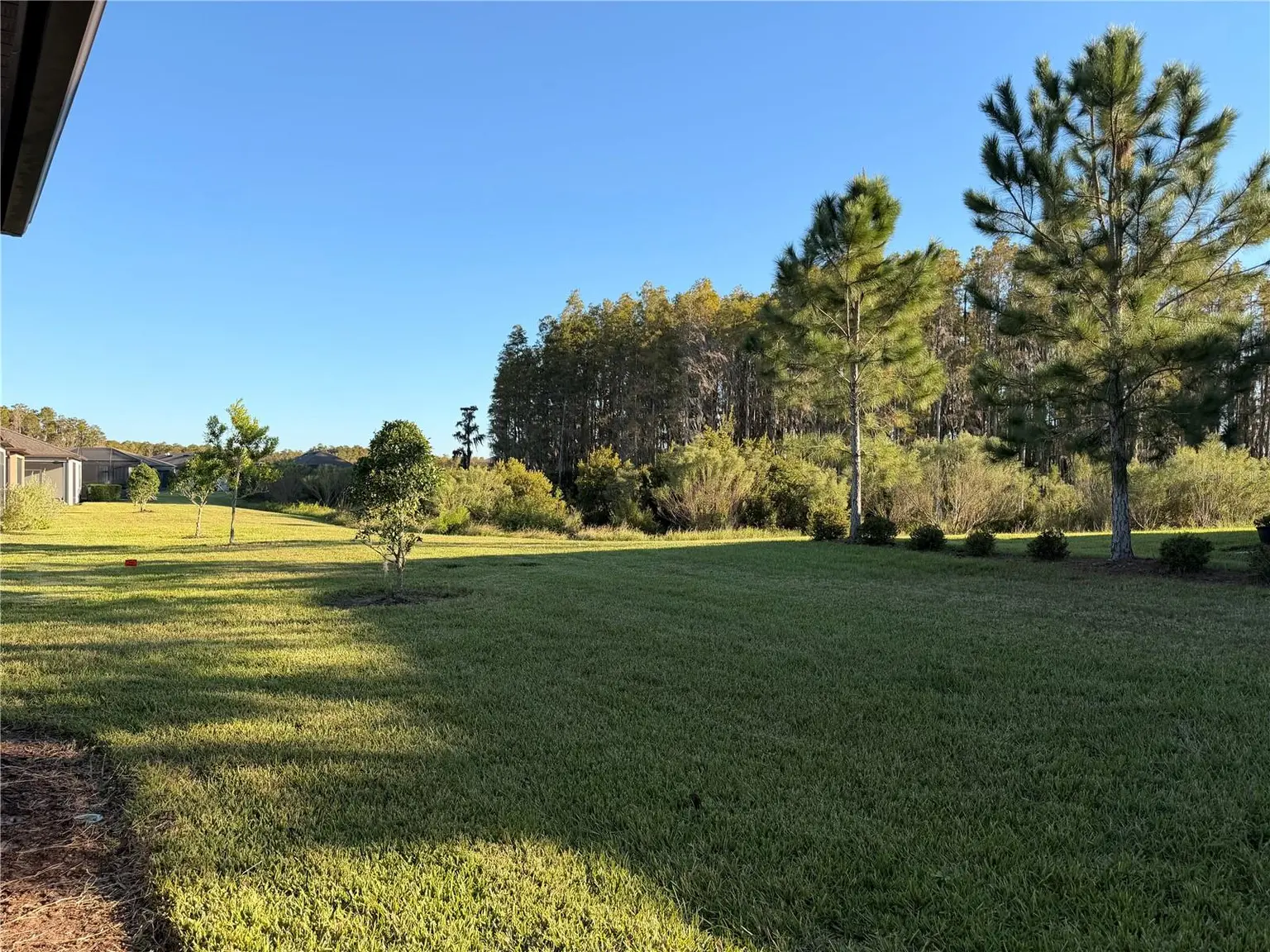 19420 SHIP WHEEL WAY, LAND O LAKES, FL, photo 22 of 30