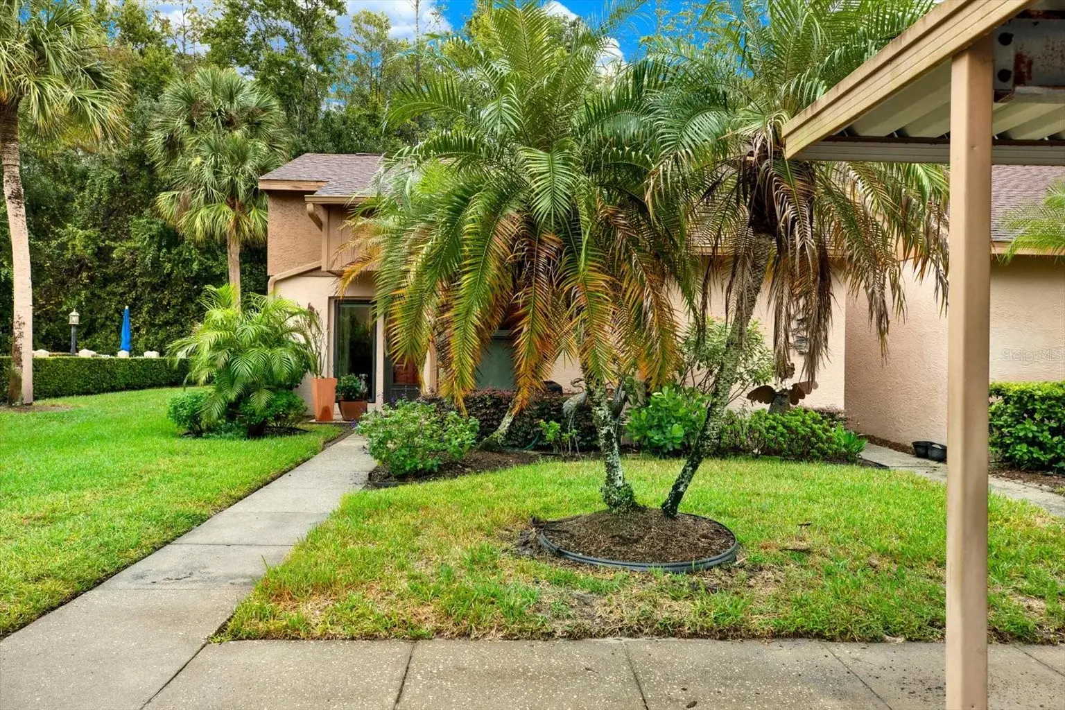 3433 HILLMOOR DRIVE, PALM HARBOR, FL, photo 22 of 34