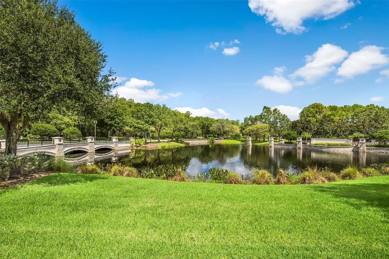 14454 MIRABELLE VISTA CIRCLE, TAMPA, FL, photo 42 of 53
