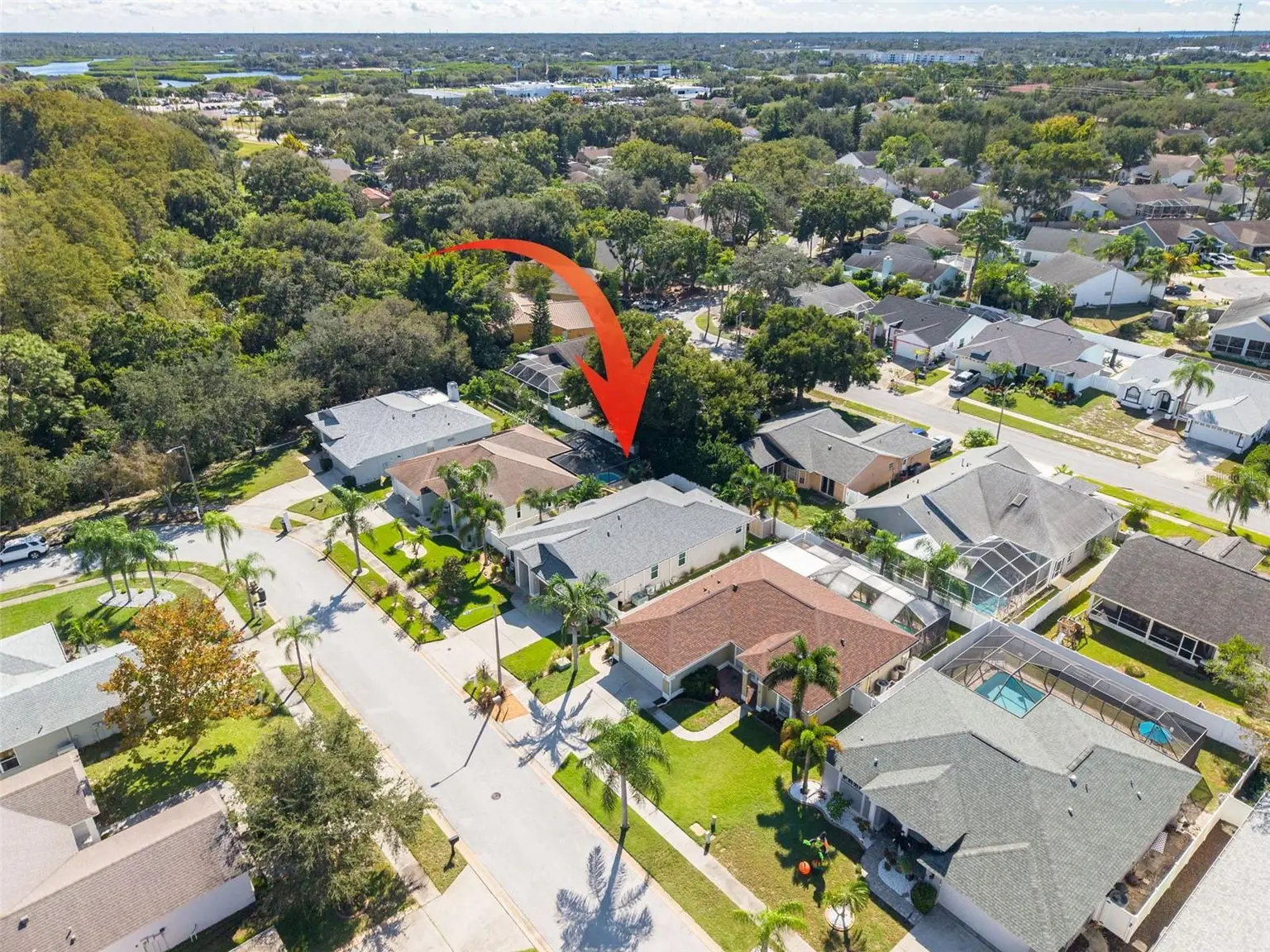 724 SANDY HILLS AVENUE, TARPON SPRINGS, FL, photo 32 of 38