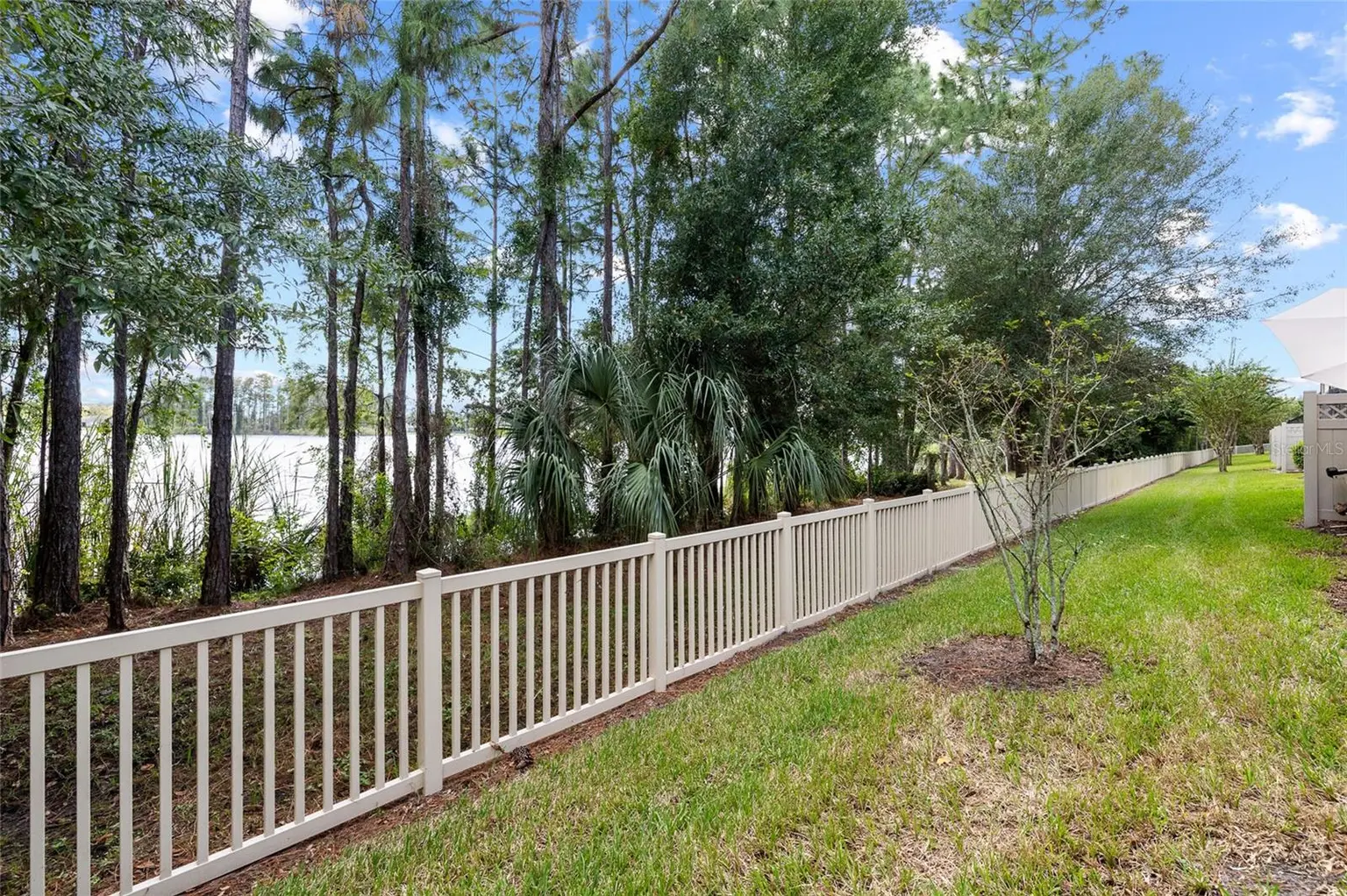 11424 CROWNED SPARROW LANE, TAMPA, FL, photo 39 of 53