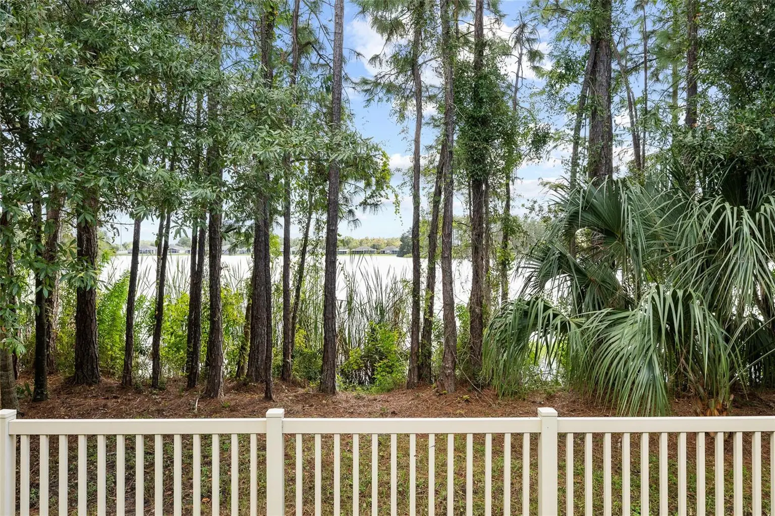 11424 CROWNED SPARROW LANE, TAMPA, FL, photo 42 of 53