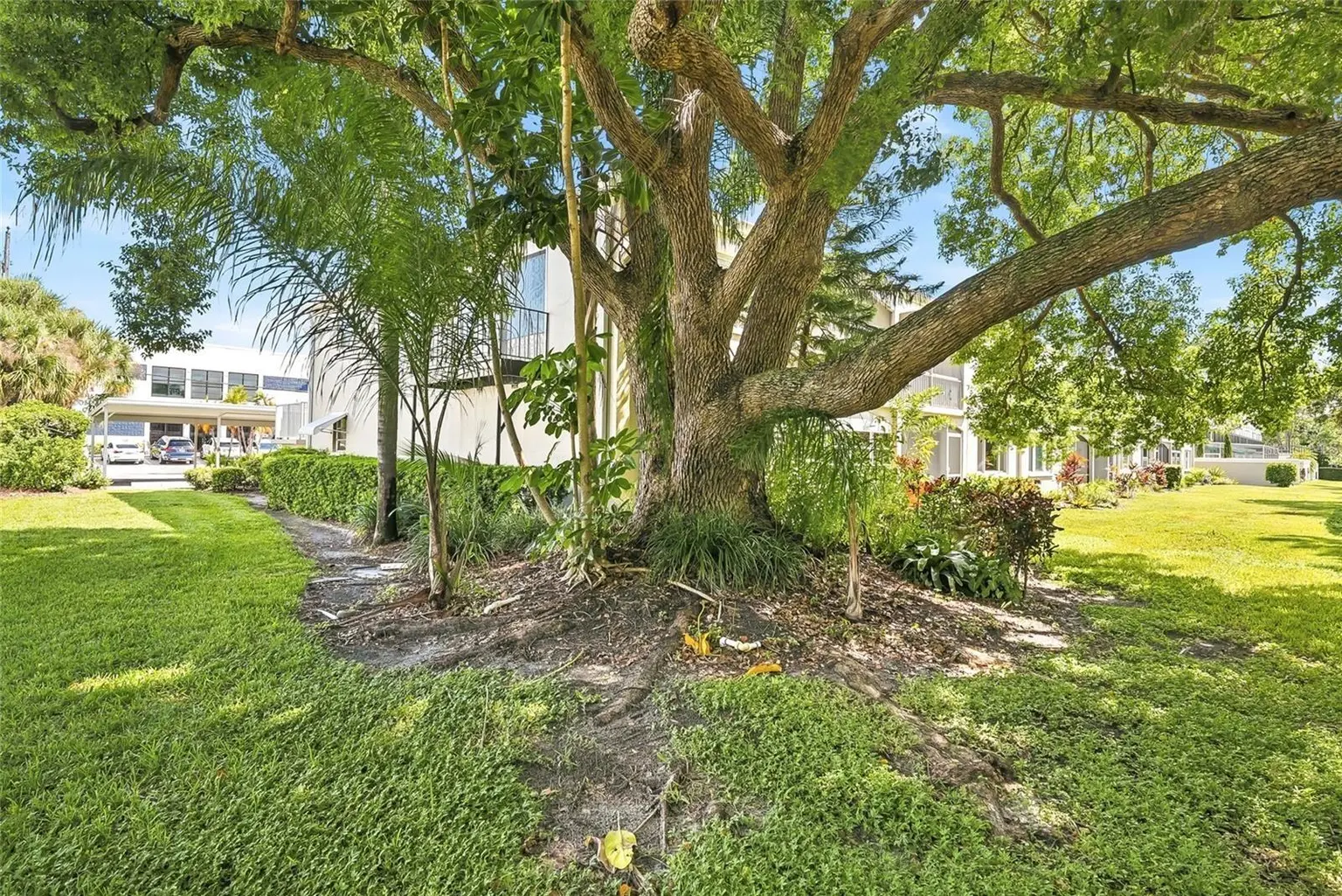 919 OSCEOLA ROAD #207, BELLEAIR, FL, photo 34 of 39