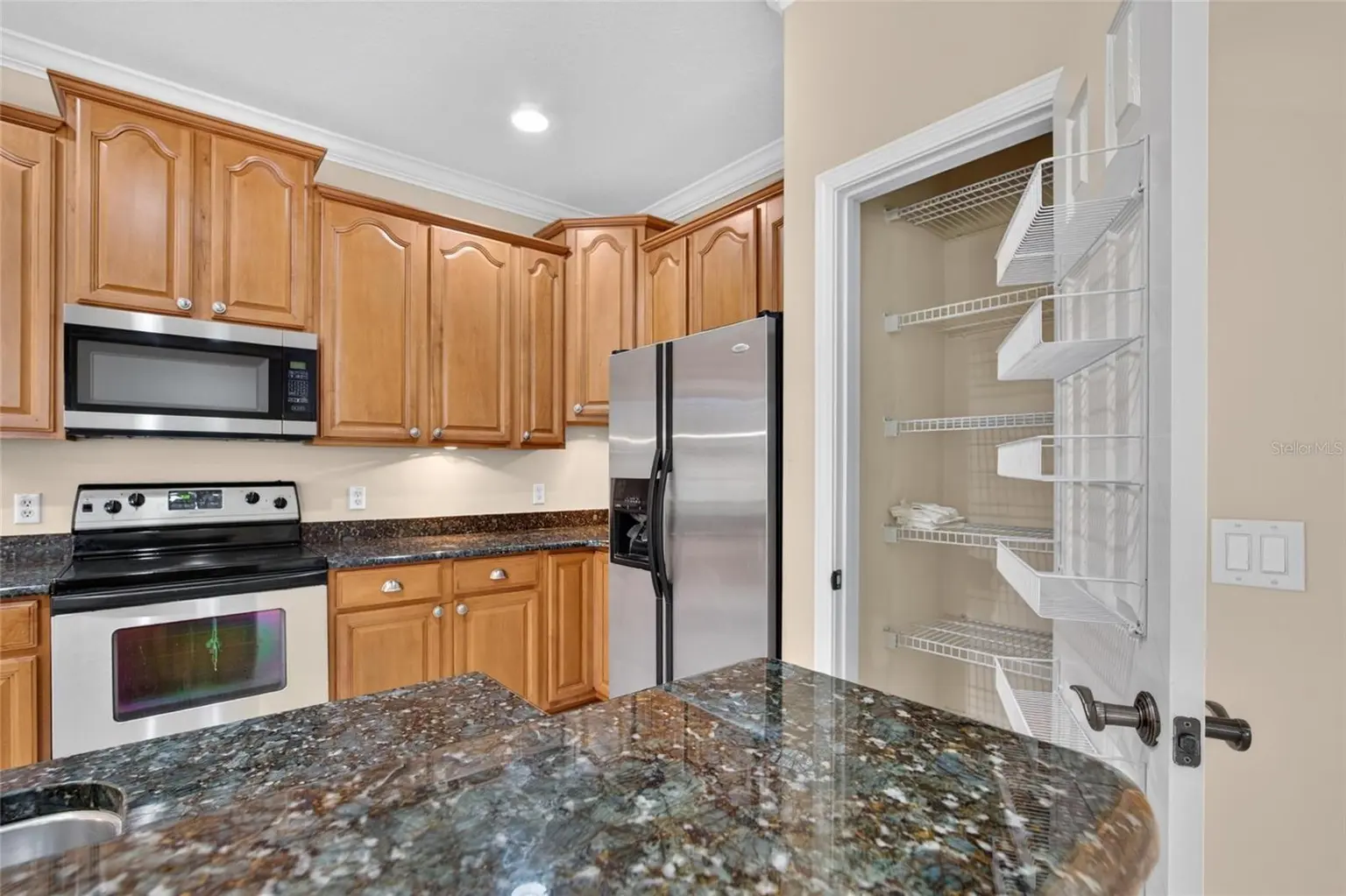 213 SILVER FALLS DRIVE, APOLLO BEACH, FL, photo 19 of 95