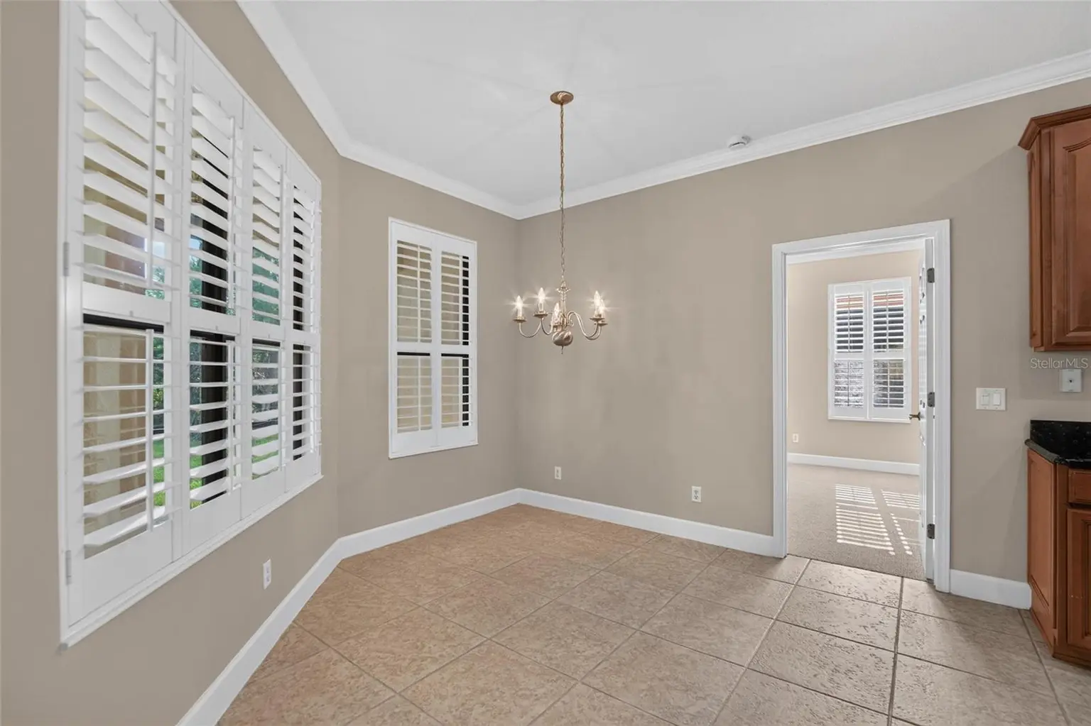 213 SILVER FALLS DRIVE, APOLLO BEACH, FL, photo 21 of 95