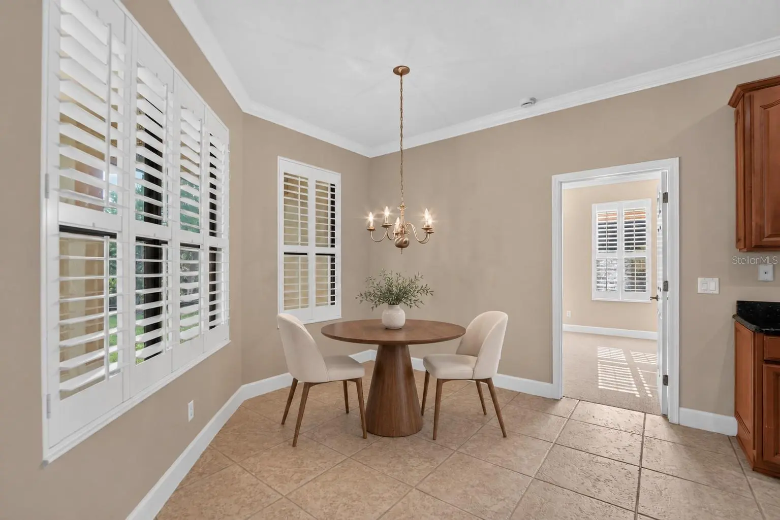 213 SILVER FALLS DRIVE, APOLLO BEACH, FL, photo 22 of 95