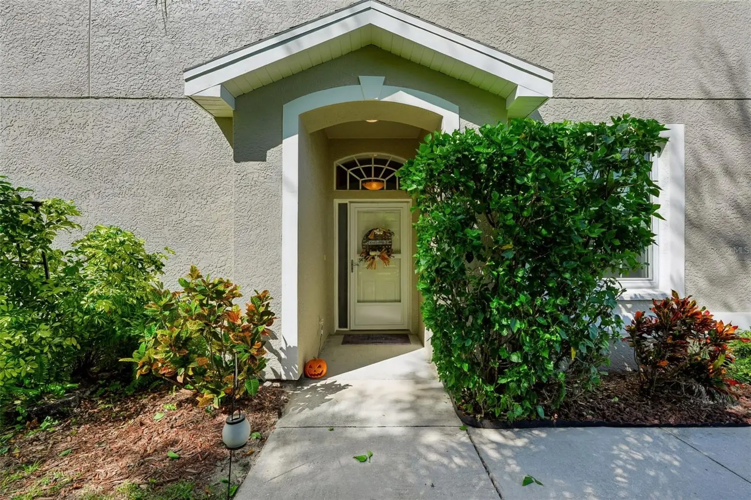 666 SPRING LAKE CIRCLE, TARPON SPRINGS, FL, photo 5 of 51