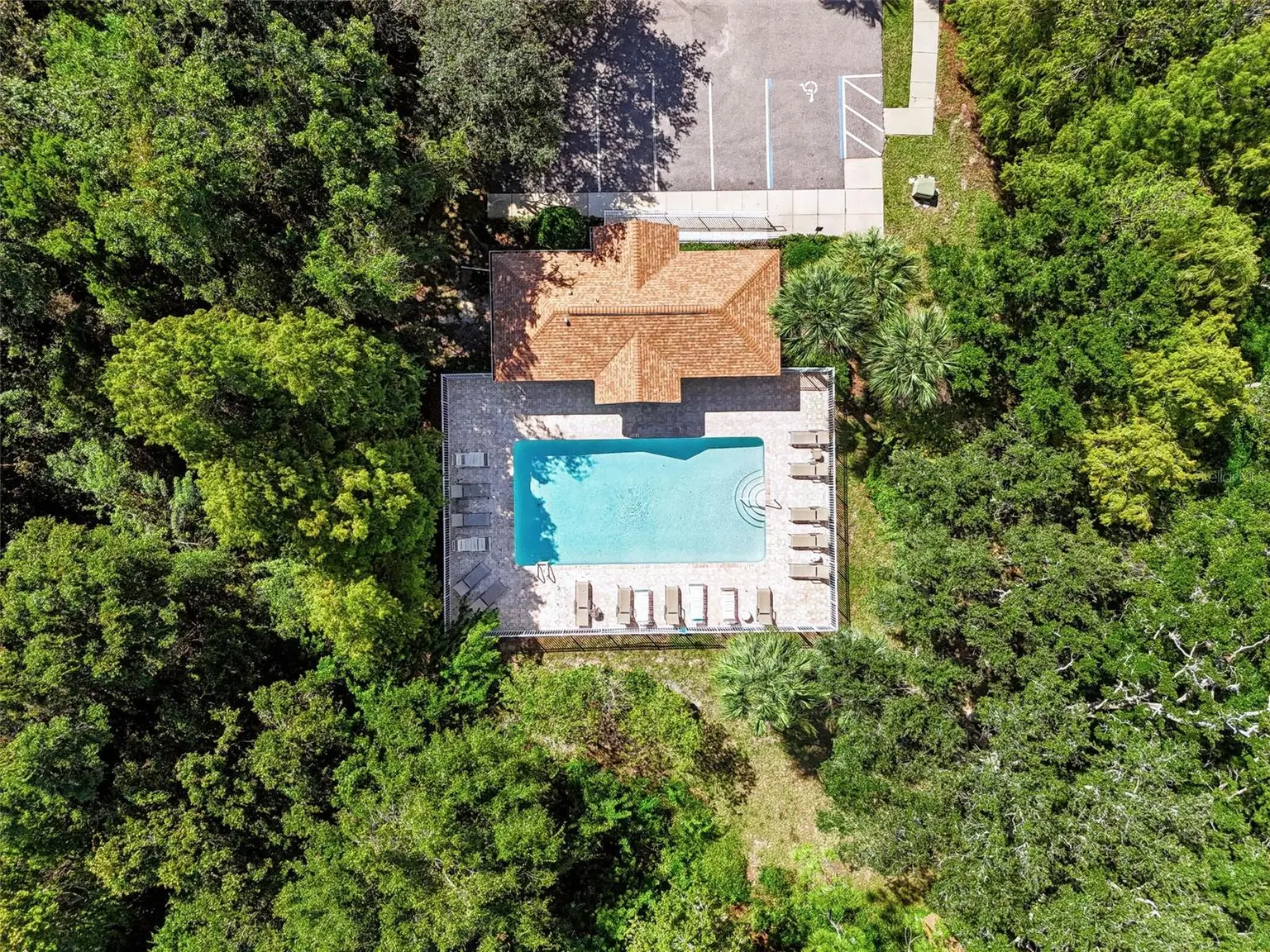 666 SPRING LAKE CIRCLE, TARPON SPRINGS, FL, photo 44 of 51