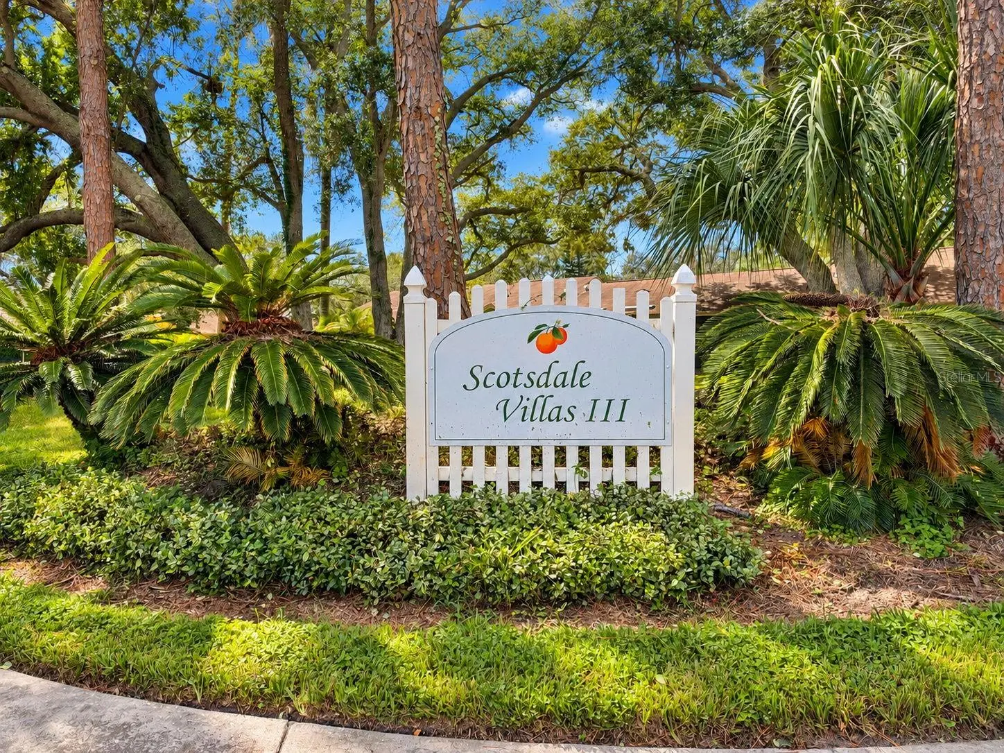 1111 TARRIDON COURT #1111, DUNEDIN, FL, photo 36 of 40