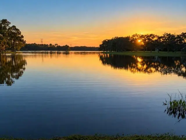 14623 CANOPY DRIVE, TAMPA, FL, photo 3 of 74