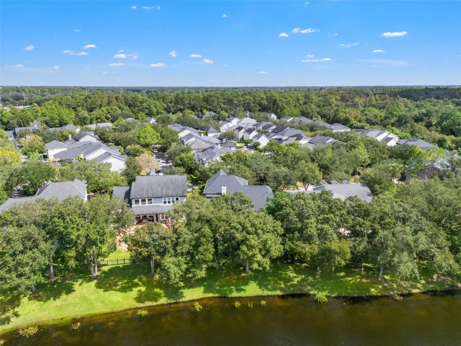 14623 CANOPY DRIVE, TAMPA, FL, photo 52 of 74