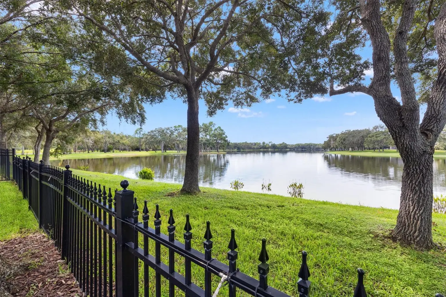 14623 CANOPY DRIVE, TAMPA, FL, photo 58 of 74