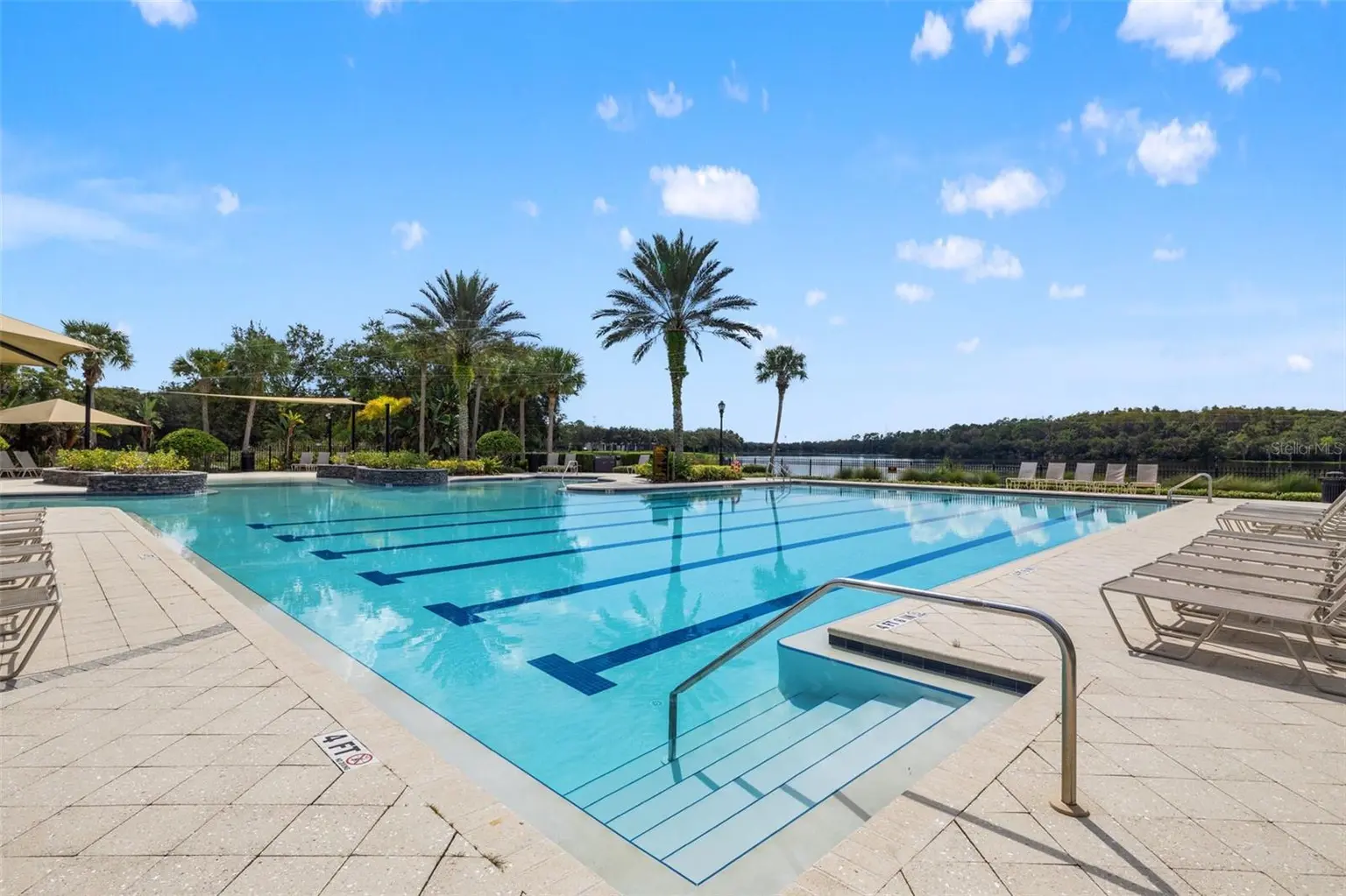 14623 CANOPY DRIVE, TAMPA, FL, photo 68 of 74