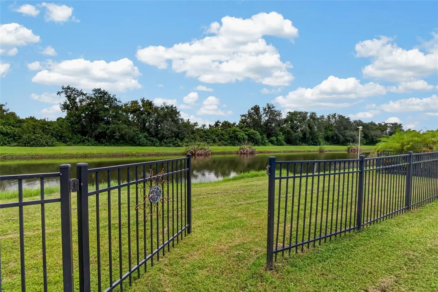 302 STAR SHELL DRIVE, APOLLO BEACH, FL, photo 41 of 54
