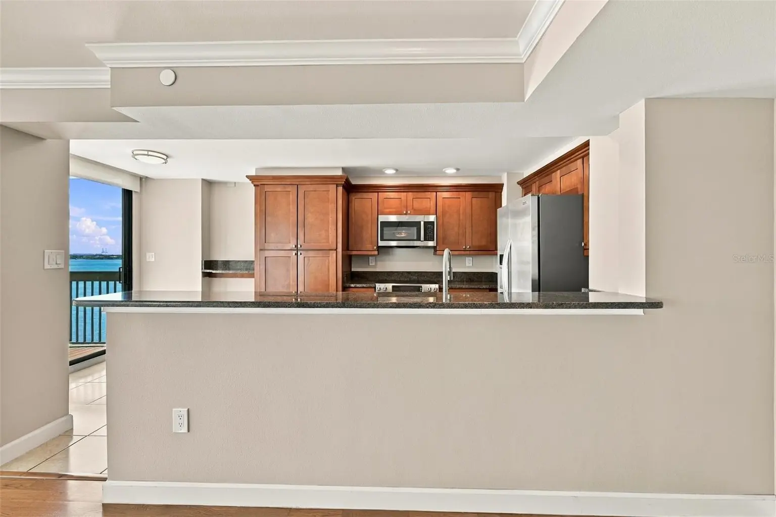 2413 BAYSHORE BOULEVARD #1005, TAMPA, FL, photo 18 of 57