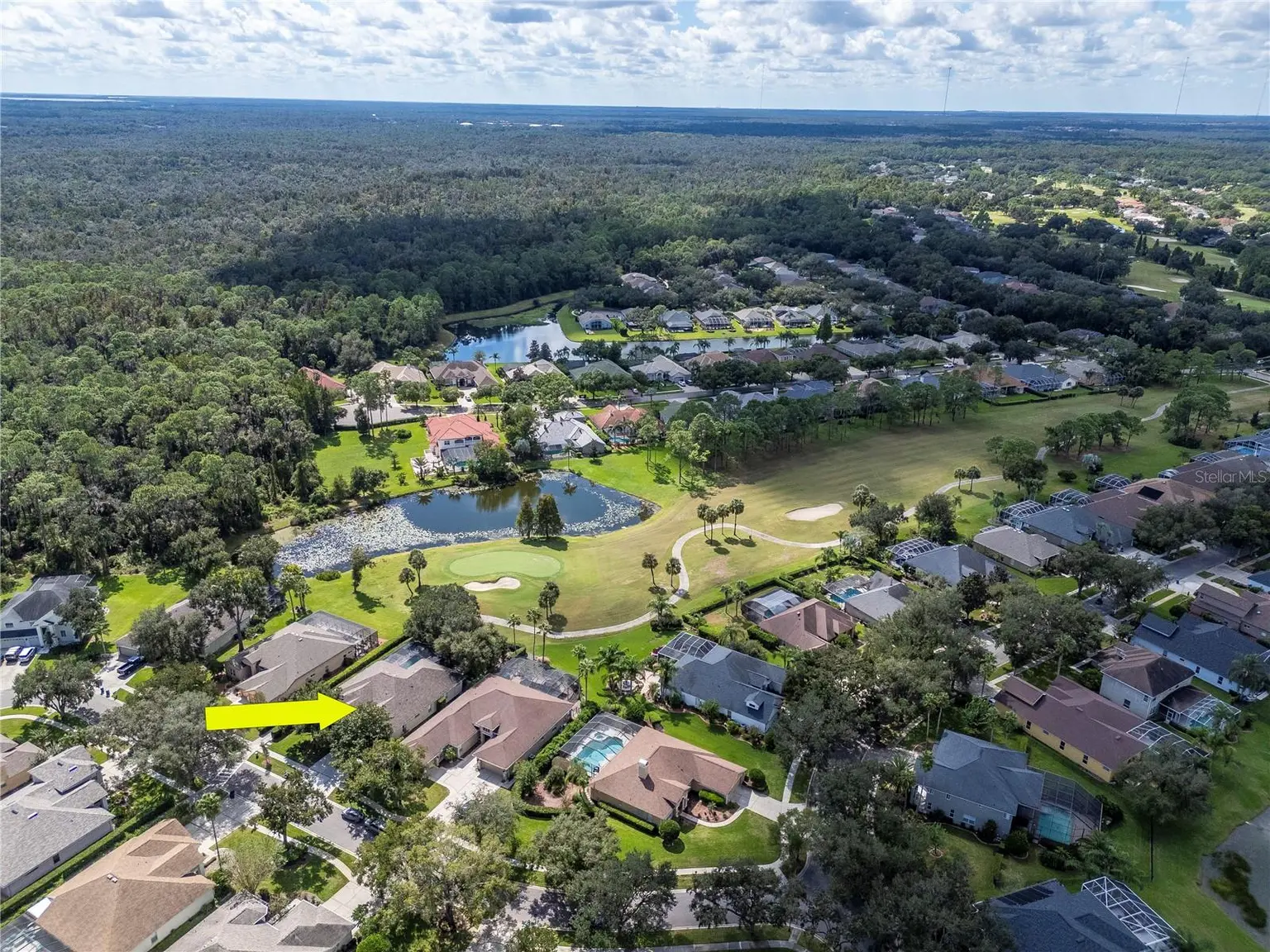 5907 CHERRY OAK DRIVE, VALRICO, FL, photo 73 of 94