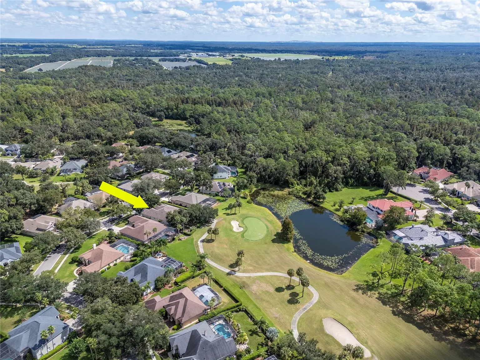 5907 CHERRY OAK DRIVE, VALRICO, FL, photo 74 of 94