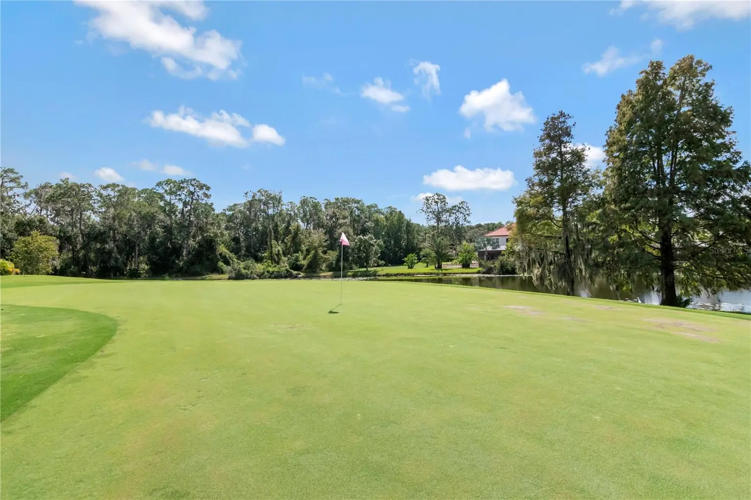 5907 CHERRY OAK DRIVE, VALRICO, FL, photo 88 of 94