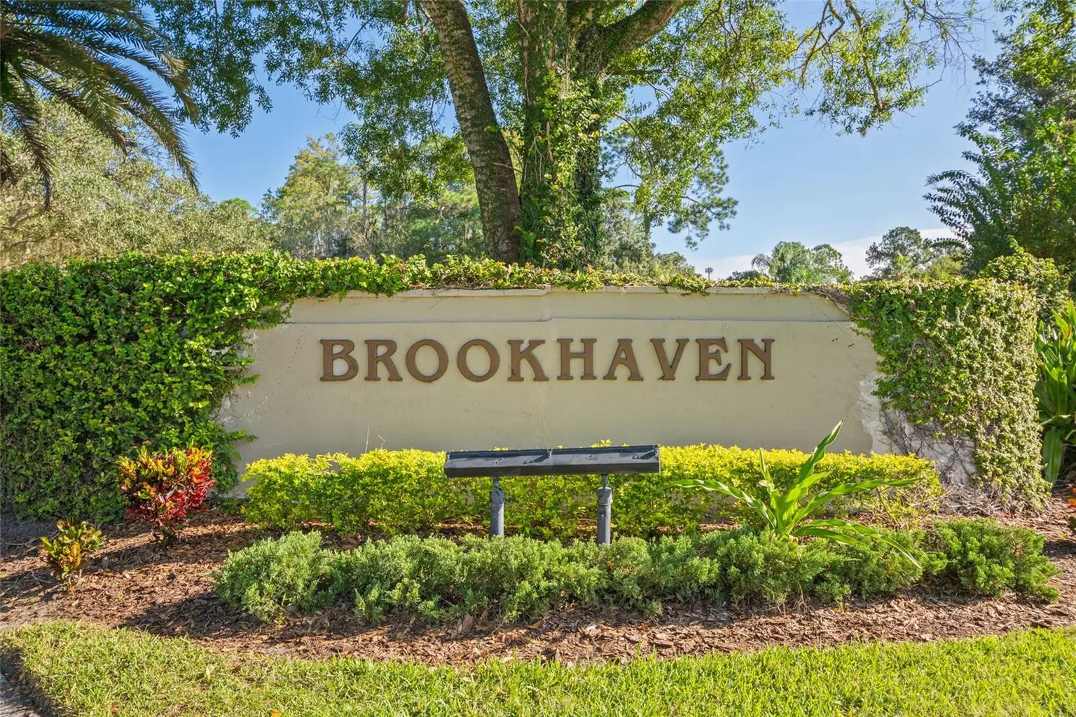 3427 HILLMOOR DRIVE, PALM HARBOR, FL, photo 3 of 38