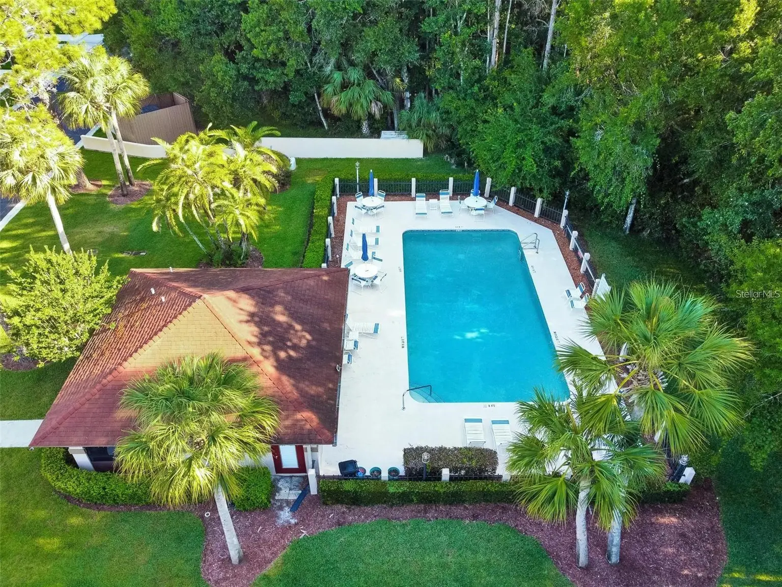 3427 HILLMOOR DRIVE, PALM HARBOR, FL, photo 26 of 38