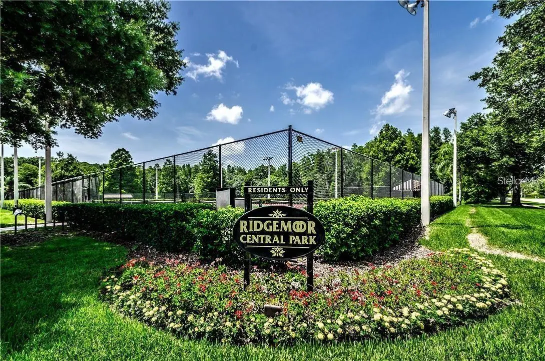 3427 HILLMOOR DRIVE, PALM HARBOR, FL, photo 29 of 38