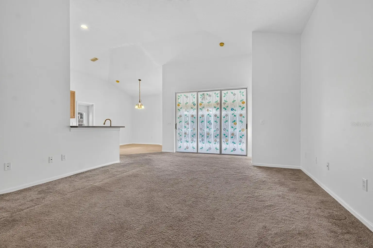 10527 SAN TRAVASO DRIVE, TAMPA, FL, photo 14 of 62
