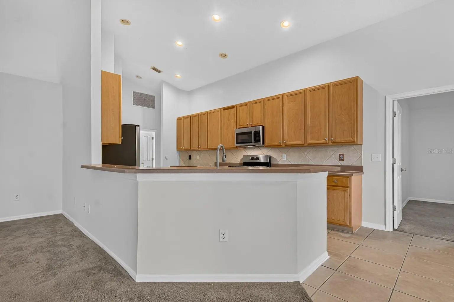 10527 SAN TRAVASO DRIVE, TAMPA, FL, photo 17 of 62